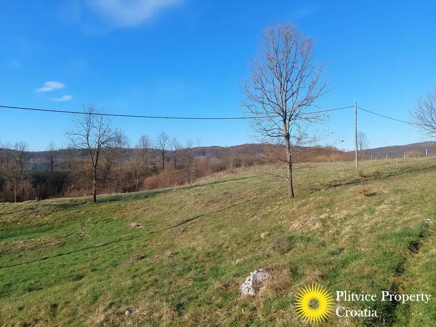 Flow_IMG_20240315_080039_01_257