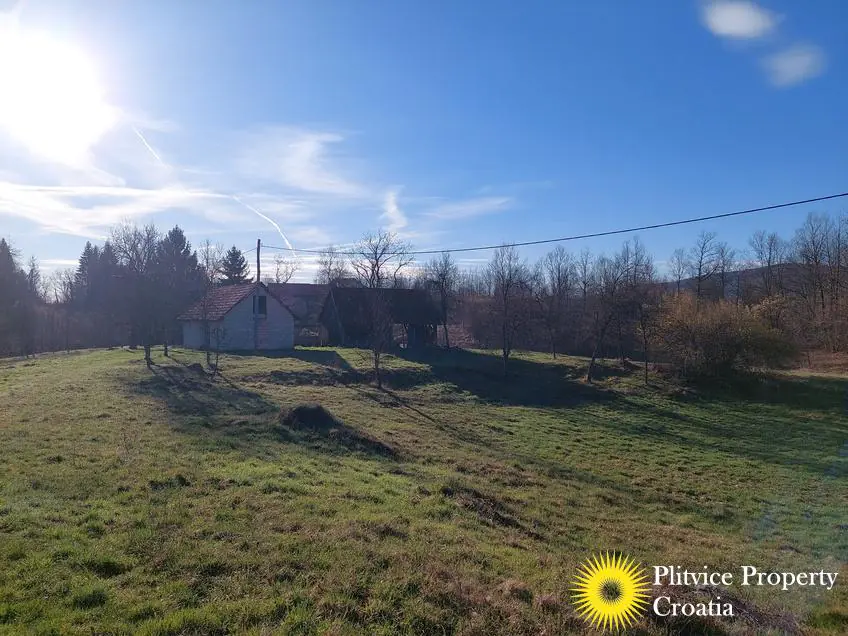 Flow_IMG_20240315_080049_01_259