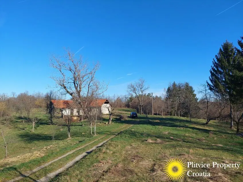 Flow_IMG_20240315_080304_01_260