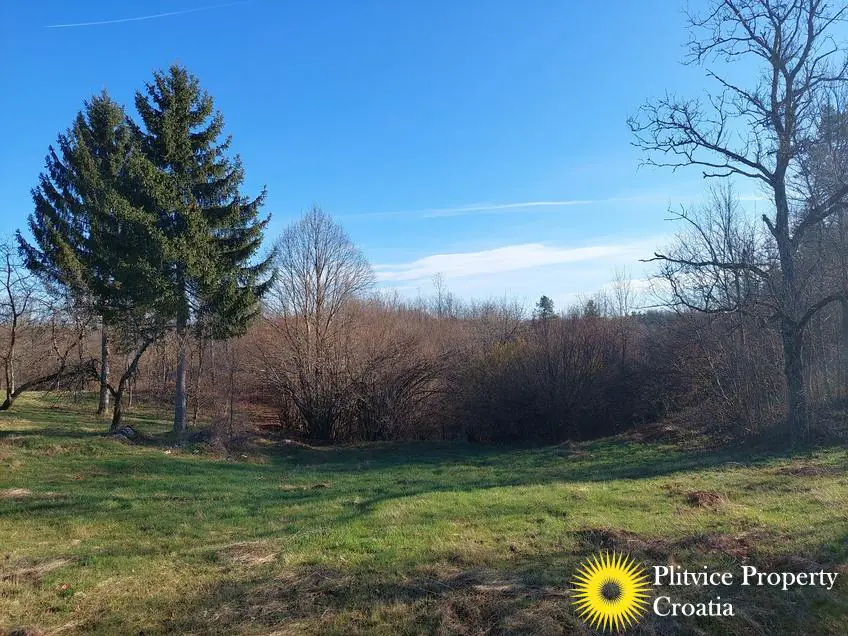 Flow_IMG_20240315_080312_01_261