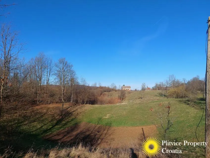 Flow_IMG_20240315_080329_01_262