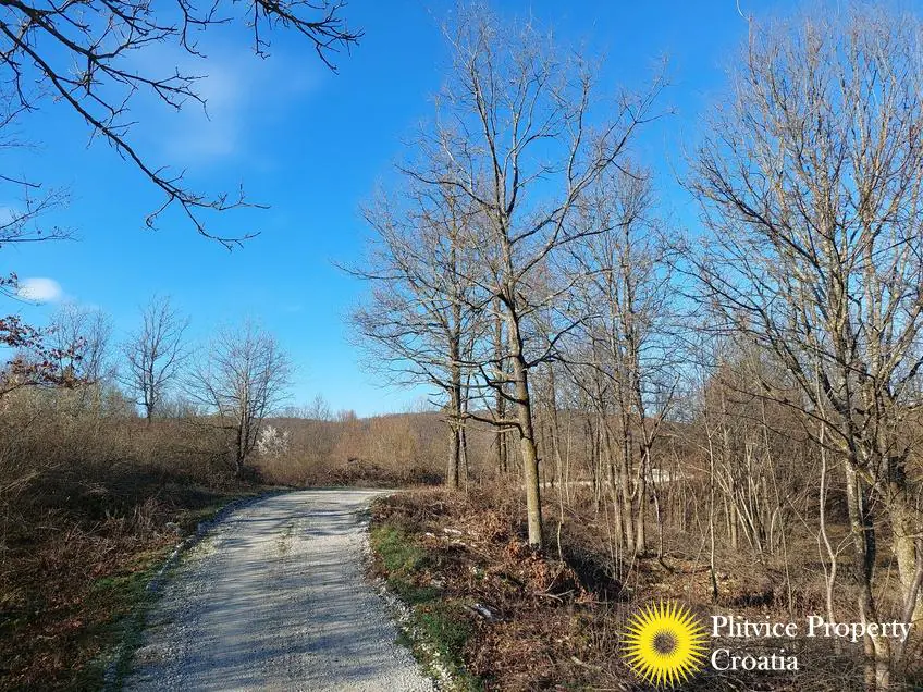 Flow_IMG_20240315_080346_01_263