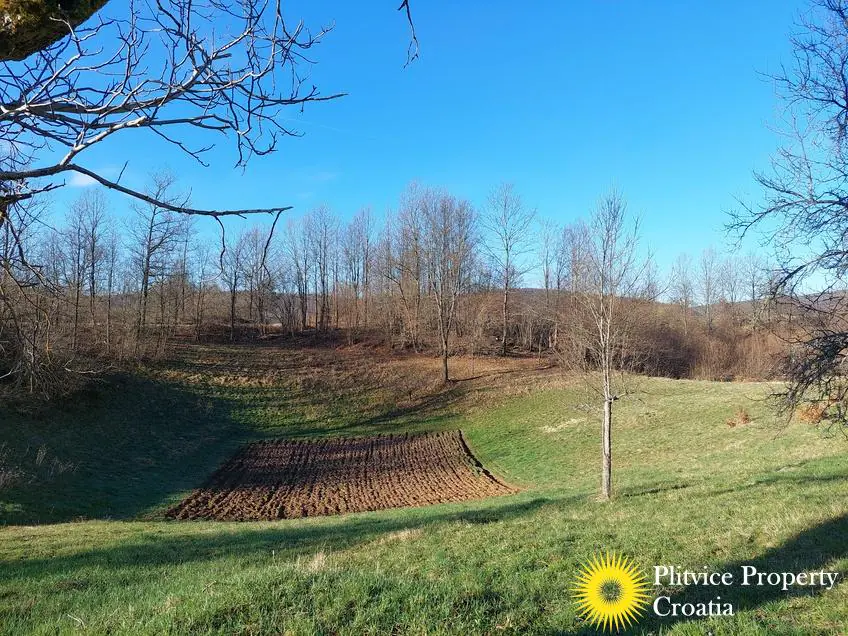 Flow_IMG_20240315_080510_01_264