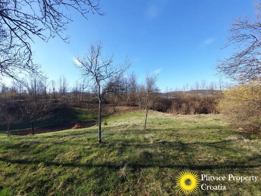 Flow_IMG_20240315_080640_01_271