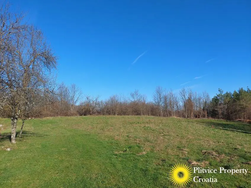 Flow_IMG_20240315_080803_01_275