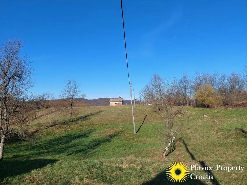 Flow_IMG_20240315_080818_01_276