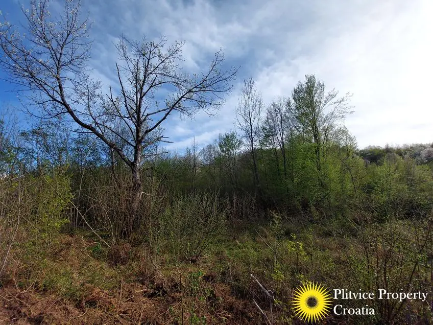 Tijek_IMG_20240404_165331_01_448