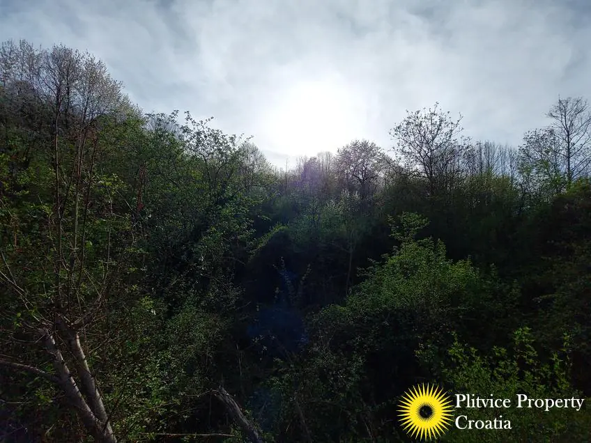 Tijek_IMG_20240404_170032_01_459