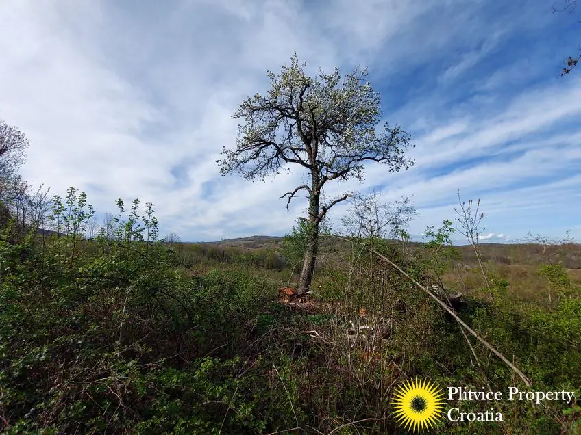 Tijek_IMG_20240404_170104_01_460