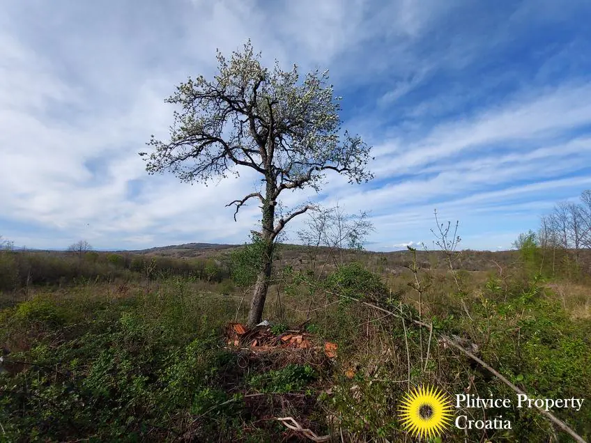 Tijek_IMG_20240404_170113_01_461