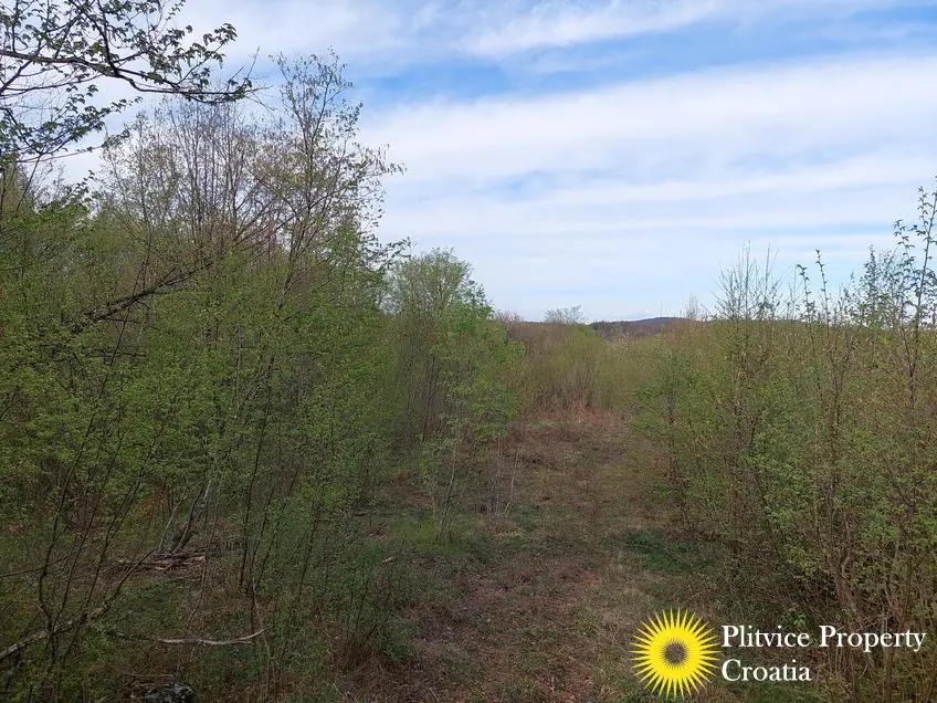 Tijek_IMG_20240404_173213_01_486