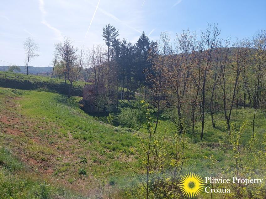 التدفق_IMG_20240406_104529_01_603