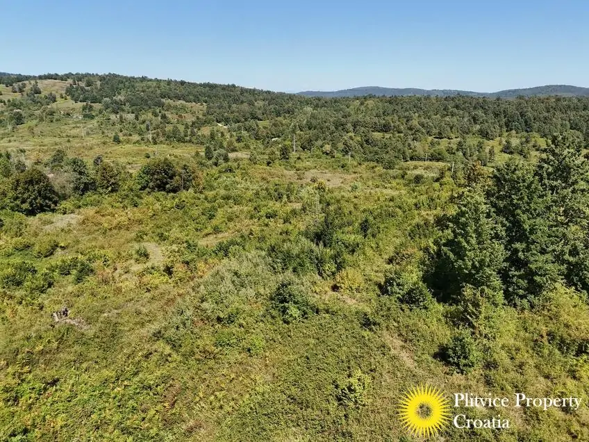 dji_fly_20250825_131854_0110_1756122787986_fotka