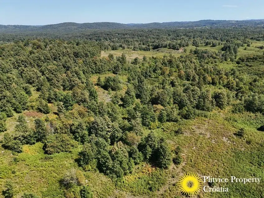 dji_fly_20250825_131954_0113_1756122785969_fotka