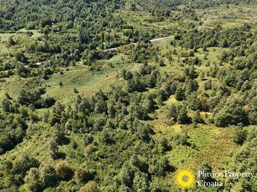 dji_fly_20250825_132110_0115_1756122784814_fotka