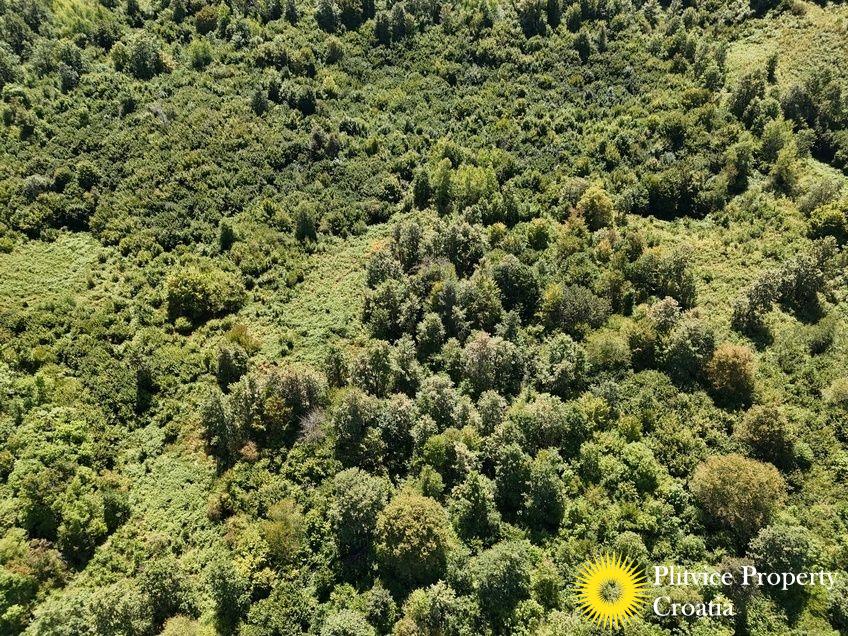 dji_fly_20250825_132124_0116_1756122784213_fotka