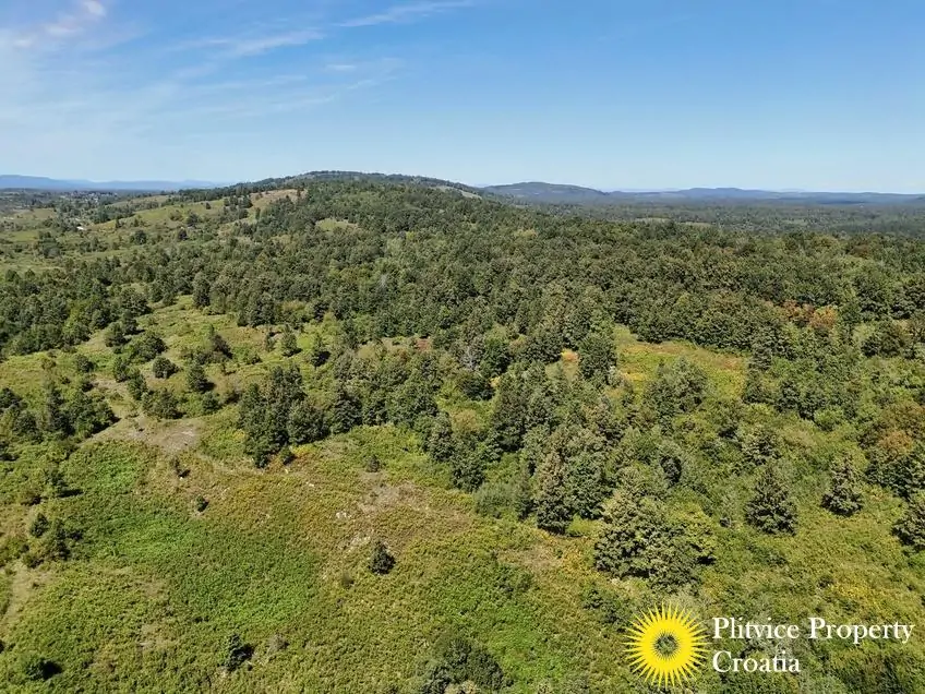 dji_fly_20250825_132208_0119_1756122782275_fotka