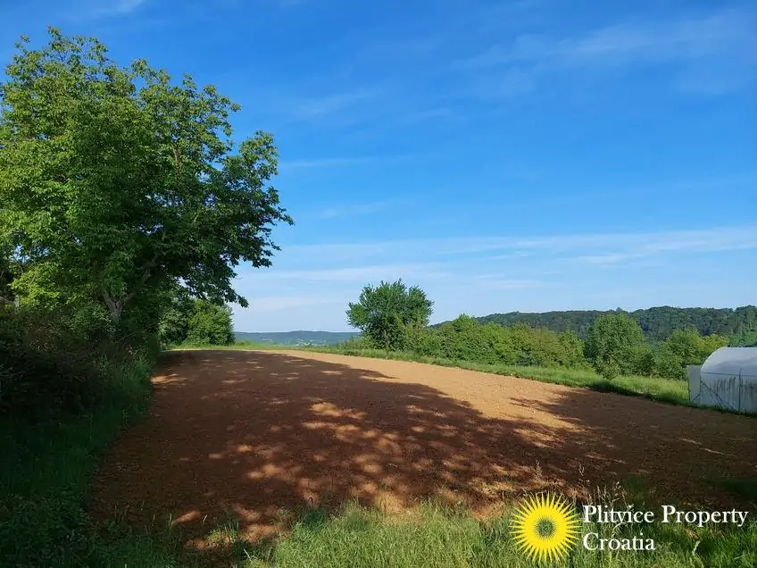 Flow_IMG_20240511_174303_01_988