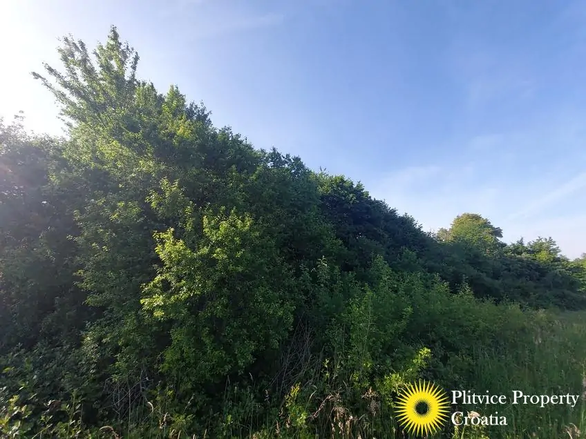 Flow_IMG_20240511_174435_01_990