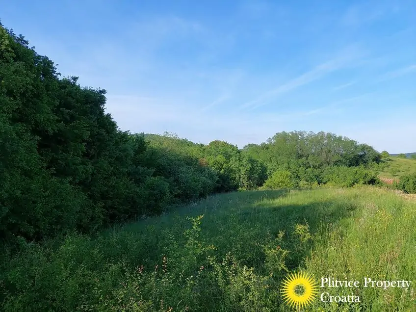 Flow_IMG_20240511_174624_01_993