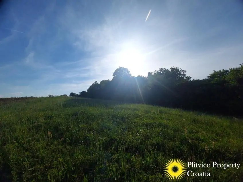 Flow_IMG_20240511_174716_01_995