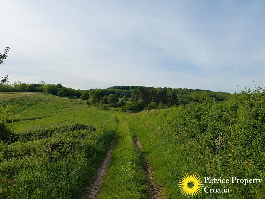 Flow_IMG_20240511_181004_01_015