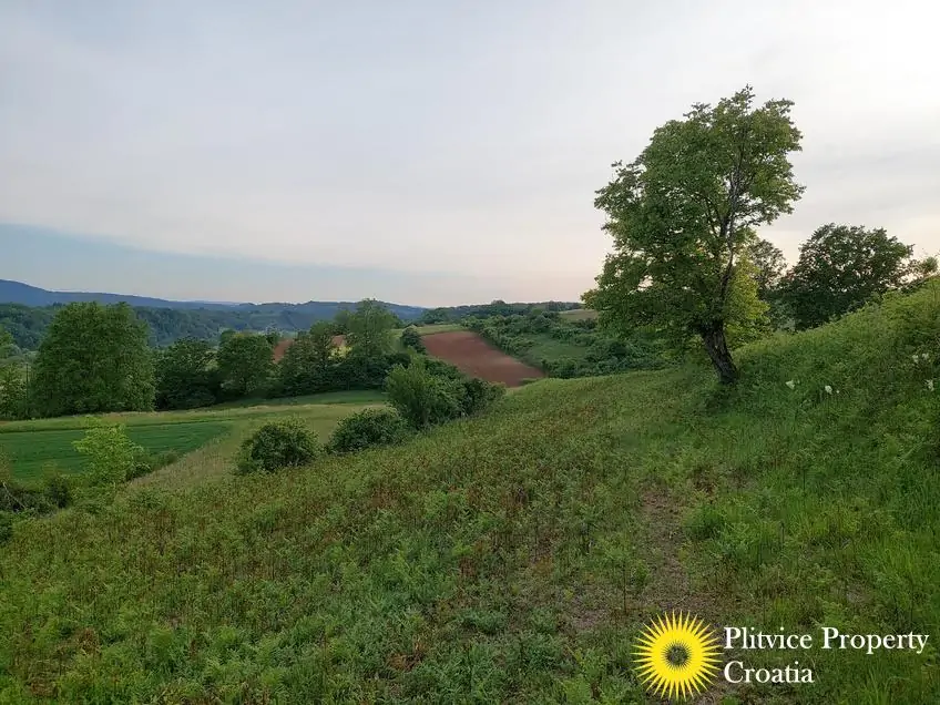 Flow_IMG_20240511_185634_01_044