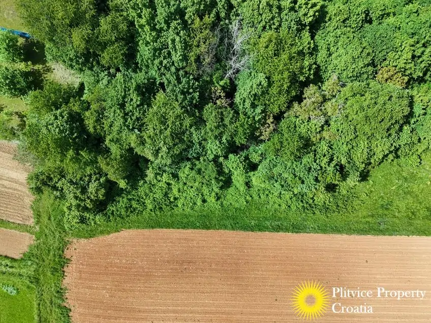 dji_fly_20250517_151232_0387_1747627861238_photo