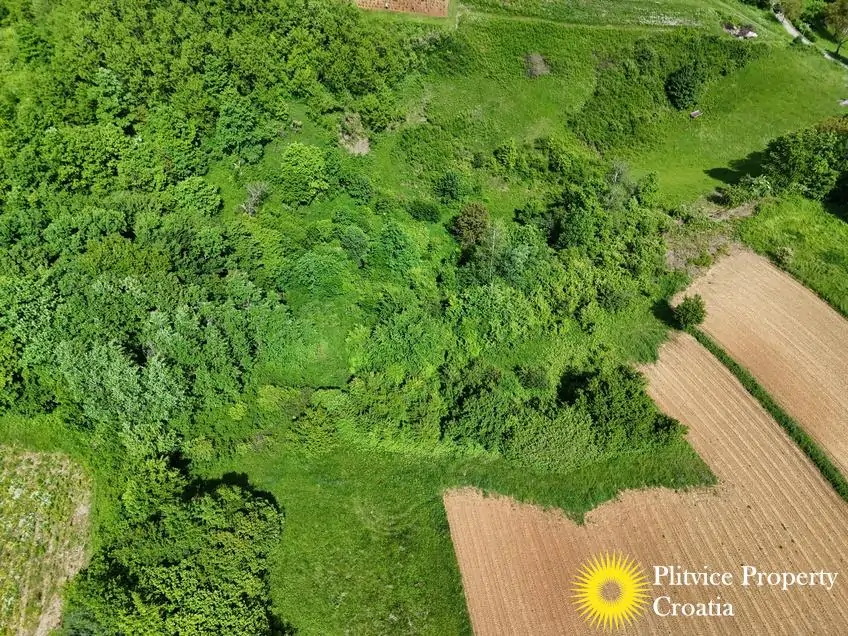 dji_fly_20250517_151240_0388_1747627860549_photo