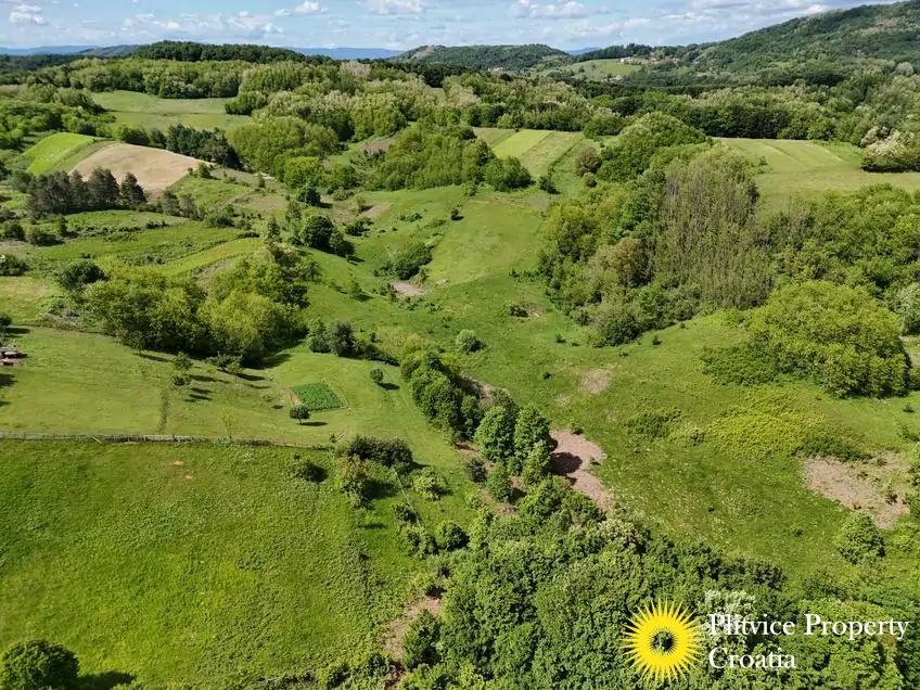 dji_fly_20250517_151250_0390_1747627859354_photo