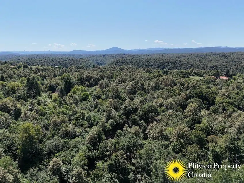 dji_fly_20240802_124102_0547_1723034391982_photo