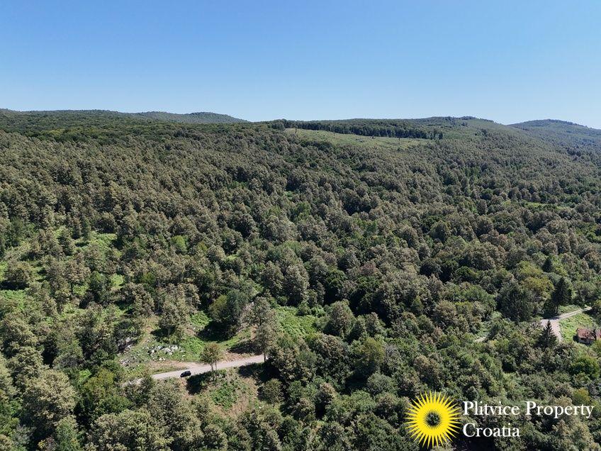 dji_fly_20240802_124208_0548_1723034391546_photo