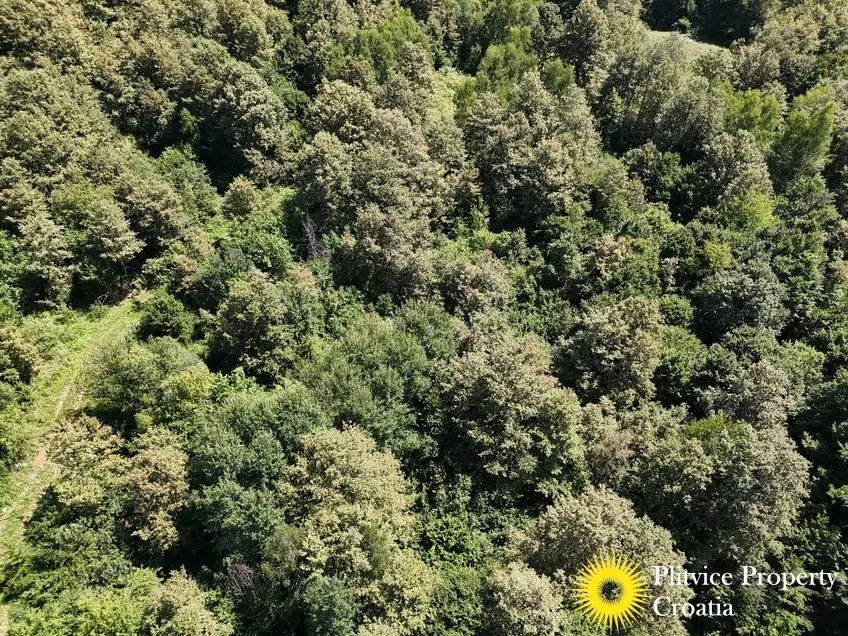 dji_fly_20240802_124242_0550_1723034390667_photo