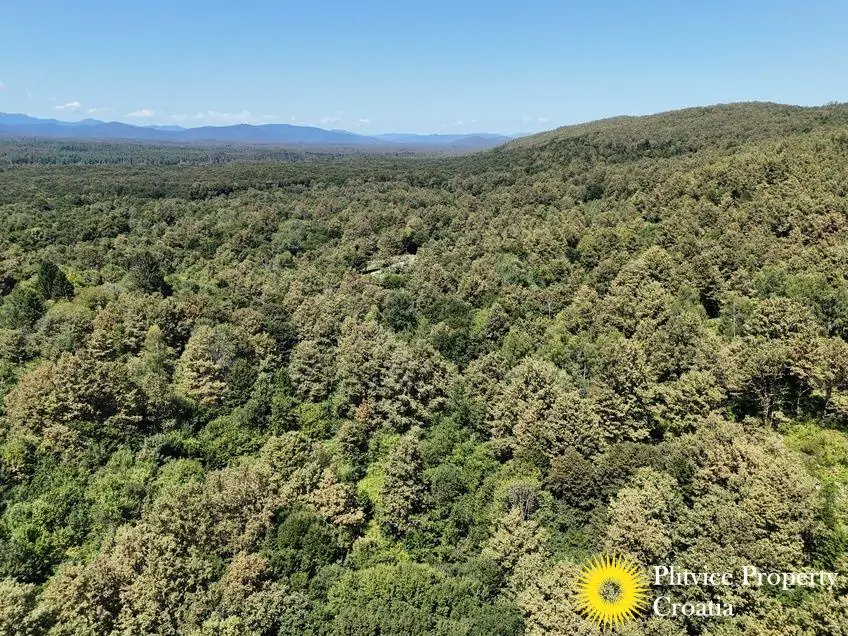 dji_fly_20240802_124316_0551_1723034390100_photo