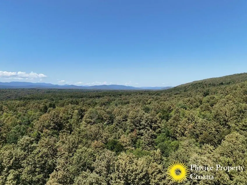 dji_fly_20240802_124330_0552_1723034389588_photo