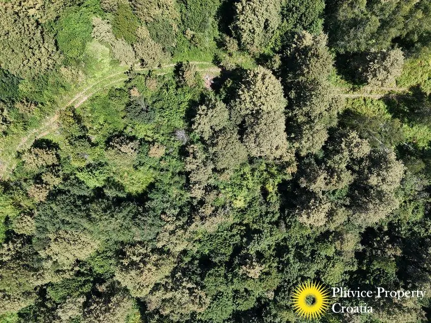 dji_fly_20240802_124504_0554_1723034388785_photo