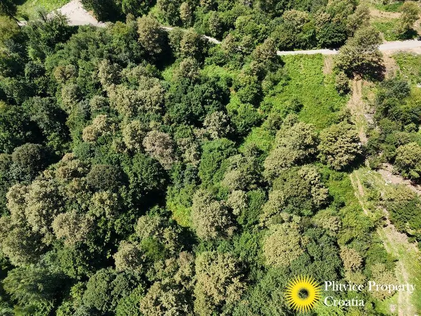 dji_fly_20240802_124522_0555_1723034388170_photo