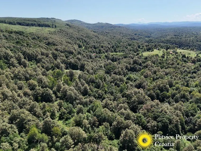 dji_fly_20240802_124548_0556_1723034387538_photo