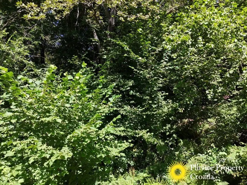 dji_fly_20240802_124732_0559_1723034386009_photo