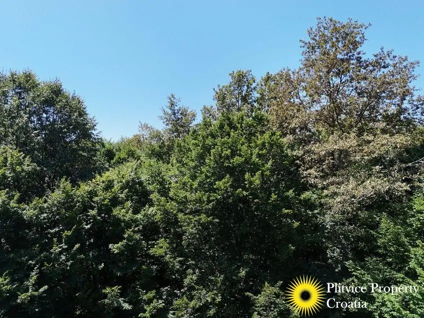 dji_fly_20240802_124742_0560_1723034385524_photo