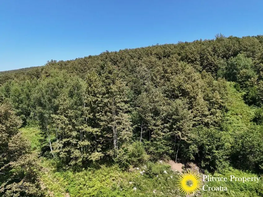 dji_fly_20240802_125118_0561_1723034385086_photo