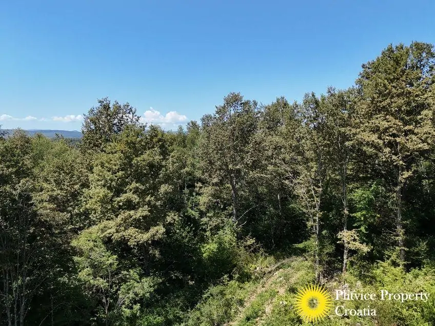 dji_fly_20240802_125124_0562_1723034384554_photo