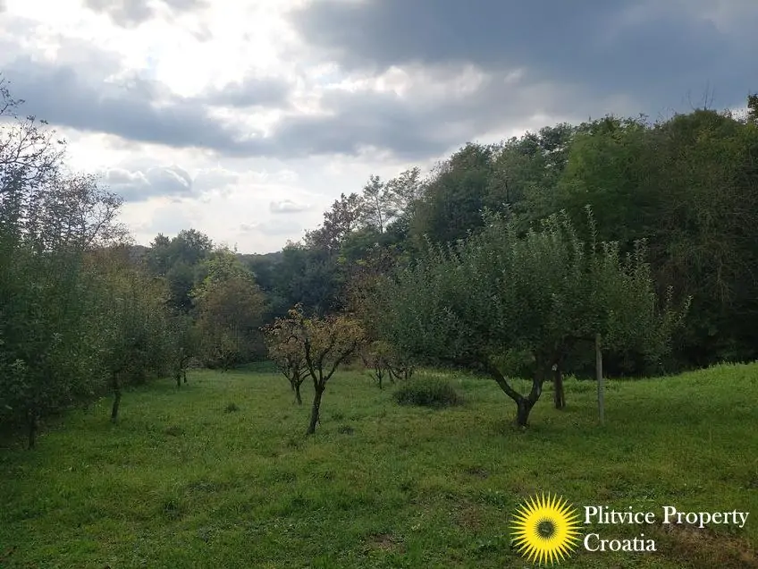 Flow_IMG_20240920_160042_01_880