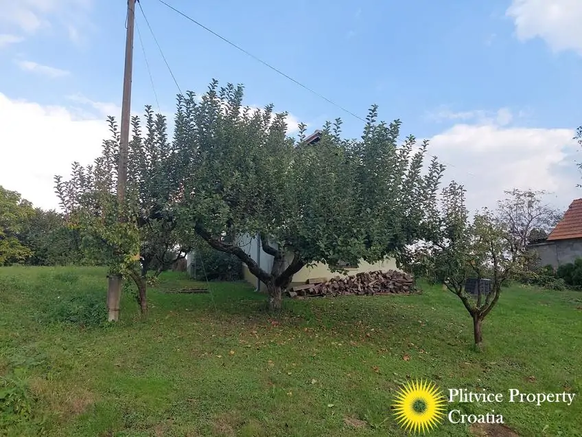 Flow_IMG_20240920_160050_01_881