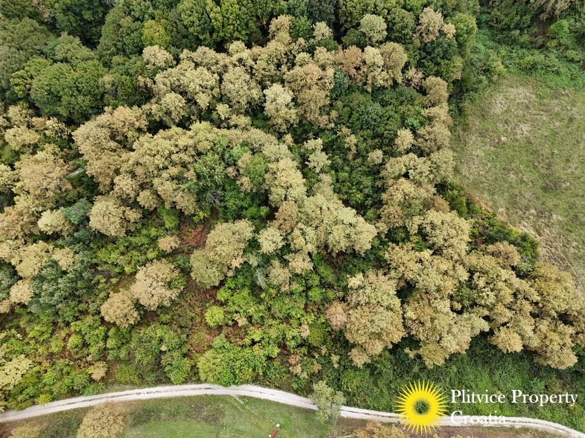 dji_fly_20240918_123418_0906_1726679281152_photo