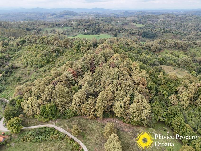 dji_fly_20240918_123430_0907_1726679280494_photo