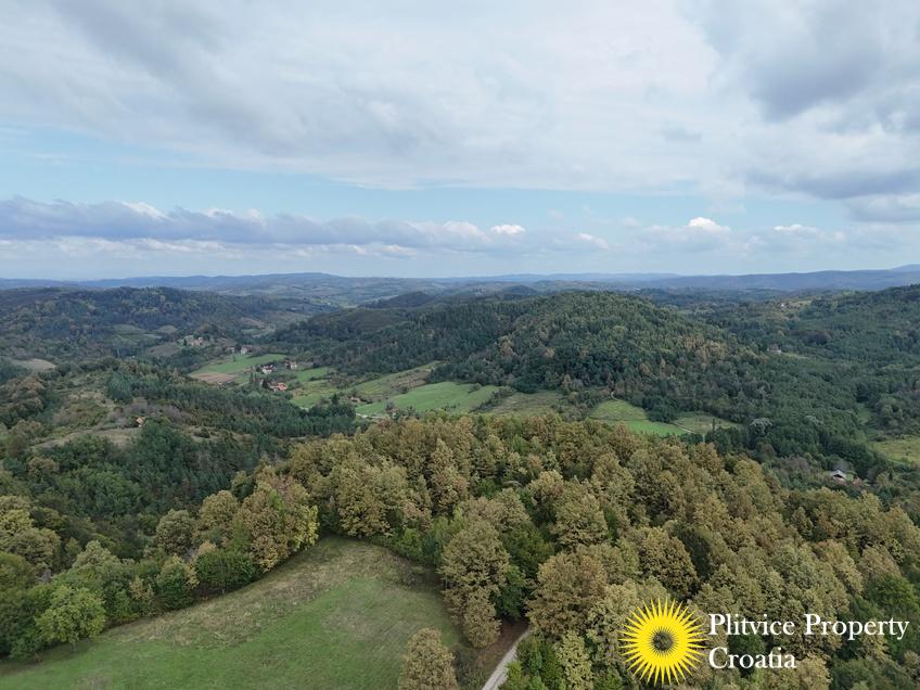 dji_fly_20240918_123504_0909_1726679279409_photo