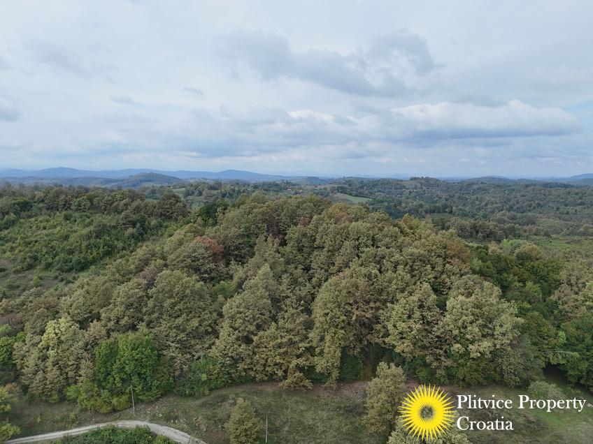 dji_fly_20240918_123510_0910_1726679278893_photo