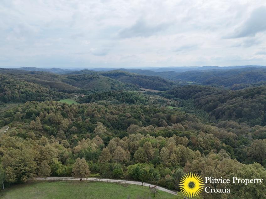 dji_fly_20240918_123544_0911_1726679278403_photo