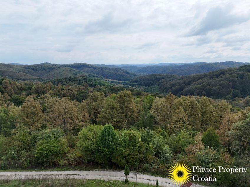 dji_fly_20240918_123602_0912_1726679277878_photo